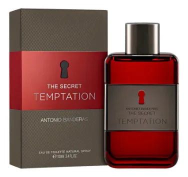 ANTONIO BANDERAS THE SECRET TEMPTATION